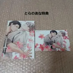 新刊BL　麻生実花先生「先生でセックスの練習していい？」4巻　とらのあな特典