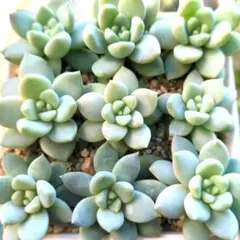 てんてん様 リクエスト 3点 まとめ商品