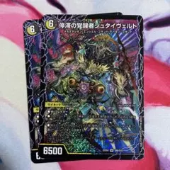 メルカリ便　SR 時空の停滞シュタイヴァル/停滞の覚醒者シュタイヴェルト 2枚