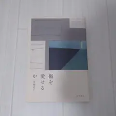 傷を愛せるか 宮地尚子 単行本