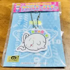 鴻巣@プロフ必読様 リクエスト 3点 まとめ商品