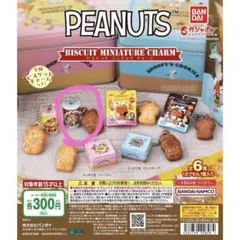 PEANUTS ビスケットミニチュアチャーム　丸缶　チョコチップ１点