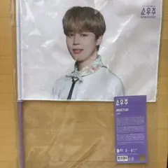 BTS 소우주 IMAGE FLAG JIMIN