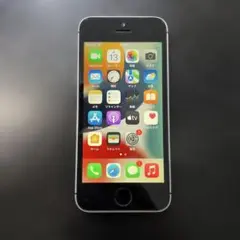 Apple iPhone SE 第1世代　64GB