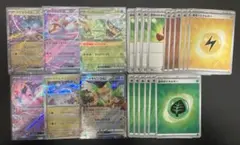 ポケモンカード　ライコポンデッキパーツ