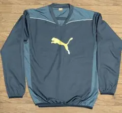 Item thumbnail for item 15f418c3-328b-4ea3-8496-cfc7f190ac68