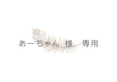 あーちゃん様専用ページ(〇RP/追加購入)