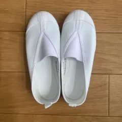 Item thumbnail for item 39adddfe-ee00-4826-845a-c04f539dd45e