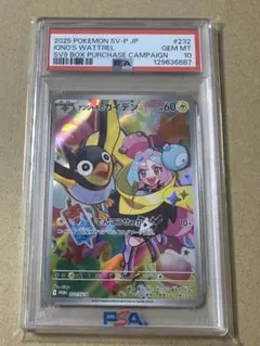 ナンジャモのカイデン PSA10