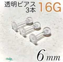 Item thumbnail for item 502b59fd-07e8-407a-a13a-2393a22c8d76