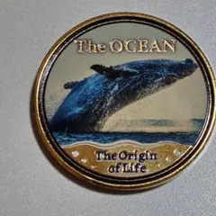 記念メダル　特別展　海