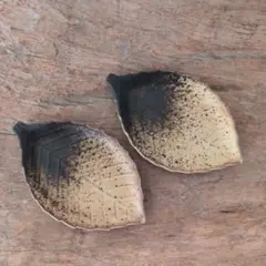 Item thumbnail for item 48c06fe2-b6a6-4f62-bd4f-211610e58859