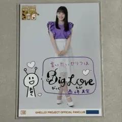 OCHA NORMA オチャノーマ D賞 ブロマイド 西﨑美空 ラキドロ - メルカリ