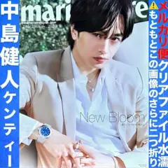 Item thumbnail for item 175d8145-2964-4ae2-a4db-125dfa601f89