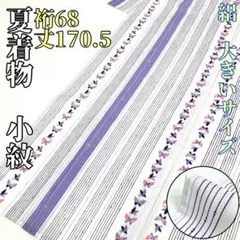 ふじこ様専用です❣️ 【着物と帯 時流】SK49◆洗える夏着物 小紋◆大きいサイズ