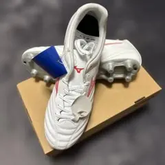 Item thumbnail for item 236f4001-7943-47cb-aefc-35e9d35b90b3