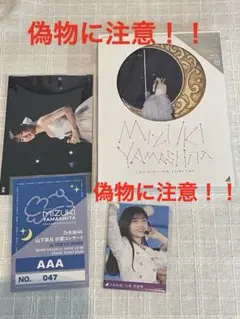 乃木坂46/MIZUKI YAMASHITA GRADUATION CONCE…