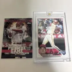 Item thumbnail for item bd76b5be-a55b-4541-a139-261d46031ea4