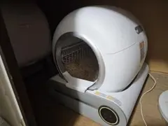 Item thumbnail for item 06348129-99b9-4d18-bc55-9595ab595173