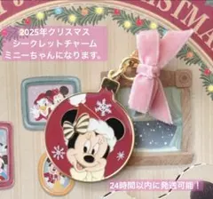 ミニー クリスマスオーナメント シークレットチャーム クリスマス