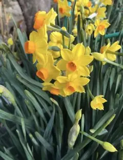 まーる様 リクエスト 2点 まとめ商品