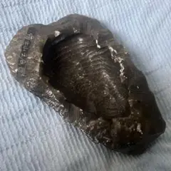 천연석 조각 패턴의 후지 재떨이