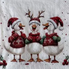 ꕤ︎︎·͜· ︎︎Xmas鳥2⑪・ 4枚セットペーパーナプキン
