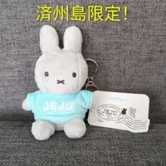 2025年最新】チェジュ ミッフィーの人気アイテム - メルカリ