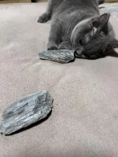 Item thumbnail for item 3c4082fd-067e-419d-b670-7a2db3e9cbb7