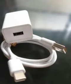 汎用電源アダプターとUSB Type-Cケーブル（100cm）セット！　K