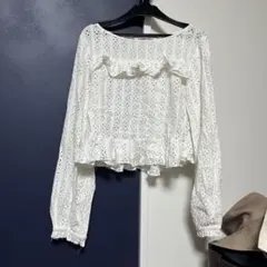 ZARA クロシェ刺繍　レース長袖