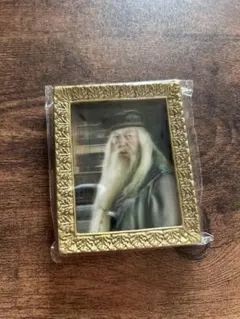 2025年最新】ダンブルドアカードの人気アイテム - メルカリ