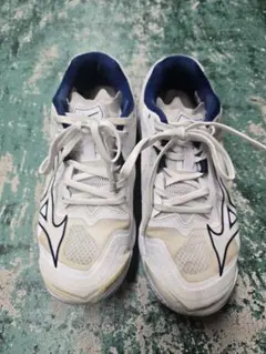 Item thumbnail for item e6a273a8-c045-4bff-ba43-2694fa44723a