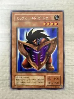 2026年最新】ビッグ・シールド・ガードナーの人気アイテム - メルカリ
