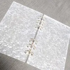 アクリルバインダー リング 貯金 透明波板 文具 saving 1ce