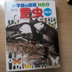 小学館の図鑑NEO 新版 昆虫 DVD付き