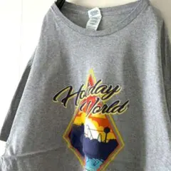 デルタ ホリデーワールド ジェットコースター Tシャツ XL グレー 古着