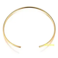 ネックレス チョーカー ゴールド サージカルステンレス 新品 オシャレ 大人気