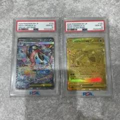 【PSA10連番】メガゲッコウガex SAR メガゲッコウガex MUR