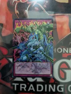 レッドデーモンズチェーン　オーバーフレーム