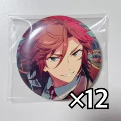 あんスタ 缶バッジ 斑①