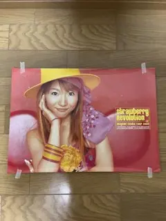 Item thumbnail for item df2e1b81-a048-4f5e-9f27-8699a61344fa