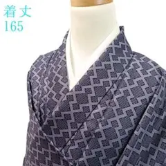 K72 袷 お召し物 着丈165cm 着物 化繊 洗える 紫