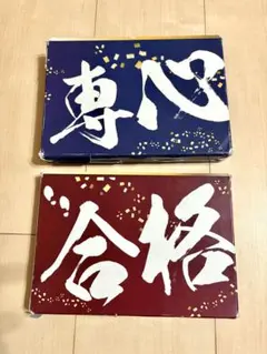 佐鳴　SPEED CHECK 専心・合格セット