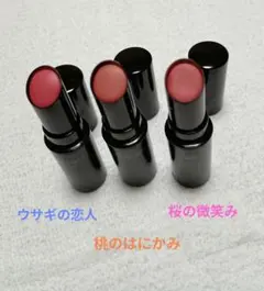 ヴィセ　ネンマクフェイクルージュ 3本セット PK850 BE351 PK852