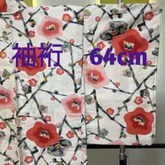 Item thumbnail for item 8bf18a85-2811-4c48-adea-706b898f2ef7