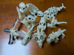 ほねほねザウルス第1,2弾