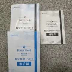 Focus Gold Smart 数学 II+B ベクトル2nd Edit新品