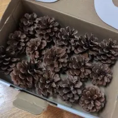ひよこ★様 リクエスト 2点 まとめ商品