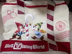 ディズニー (春の大収穫) チップ&デール アクセサリー、小物入れ